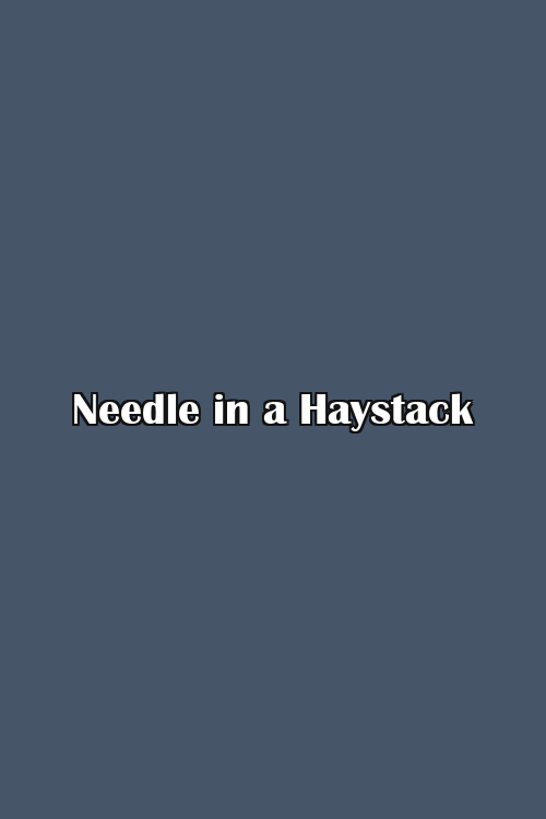 Needle in a Haystack Poster