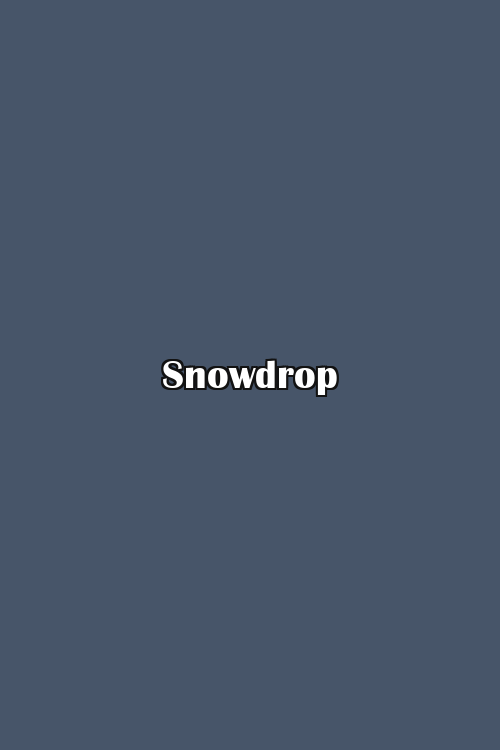 Snowdrop Poster