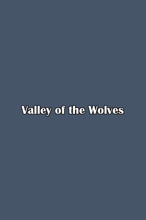 Valley of the Wolves Poster