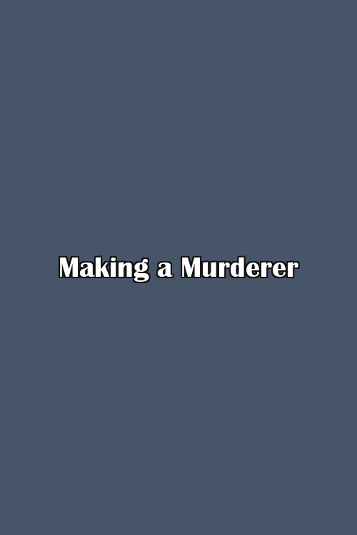 Making a Murderer Poster